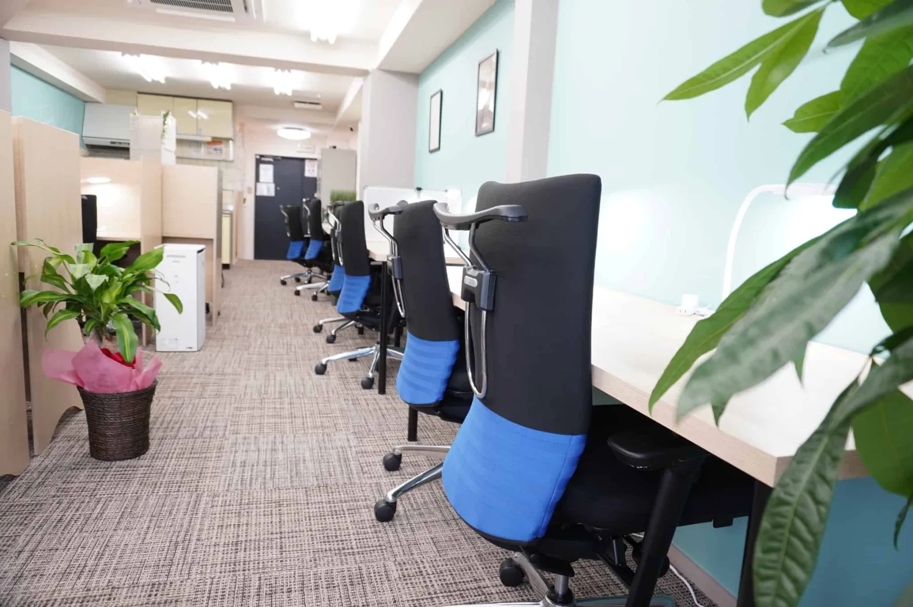 Desk and Chair 新蔵店 写真