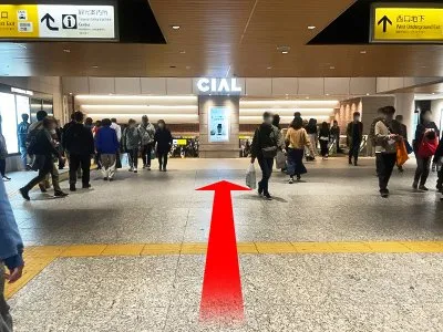 横浜アントレサロン 写真