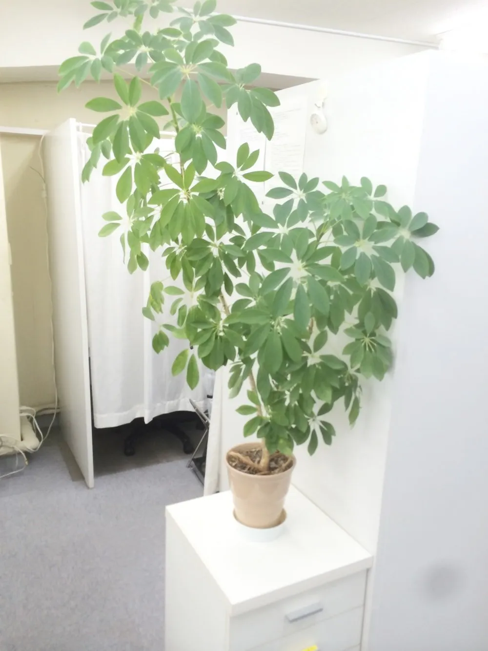 ガシン 大宮自習室