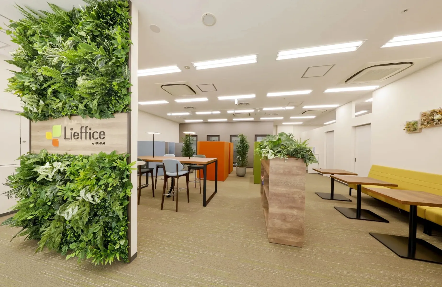 Lieffice 泉ヶ丘 写真