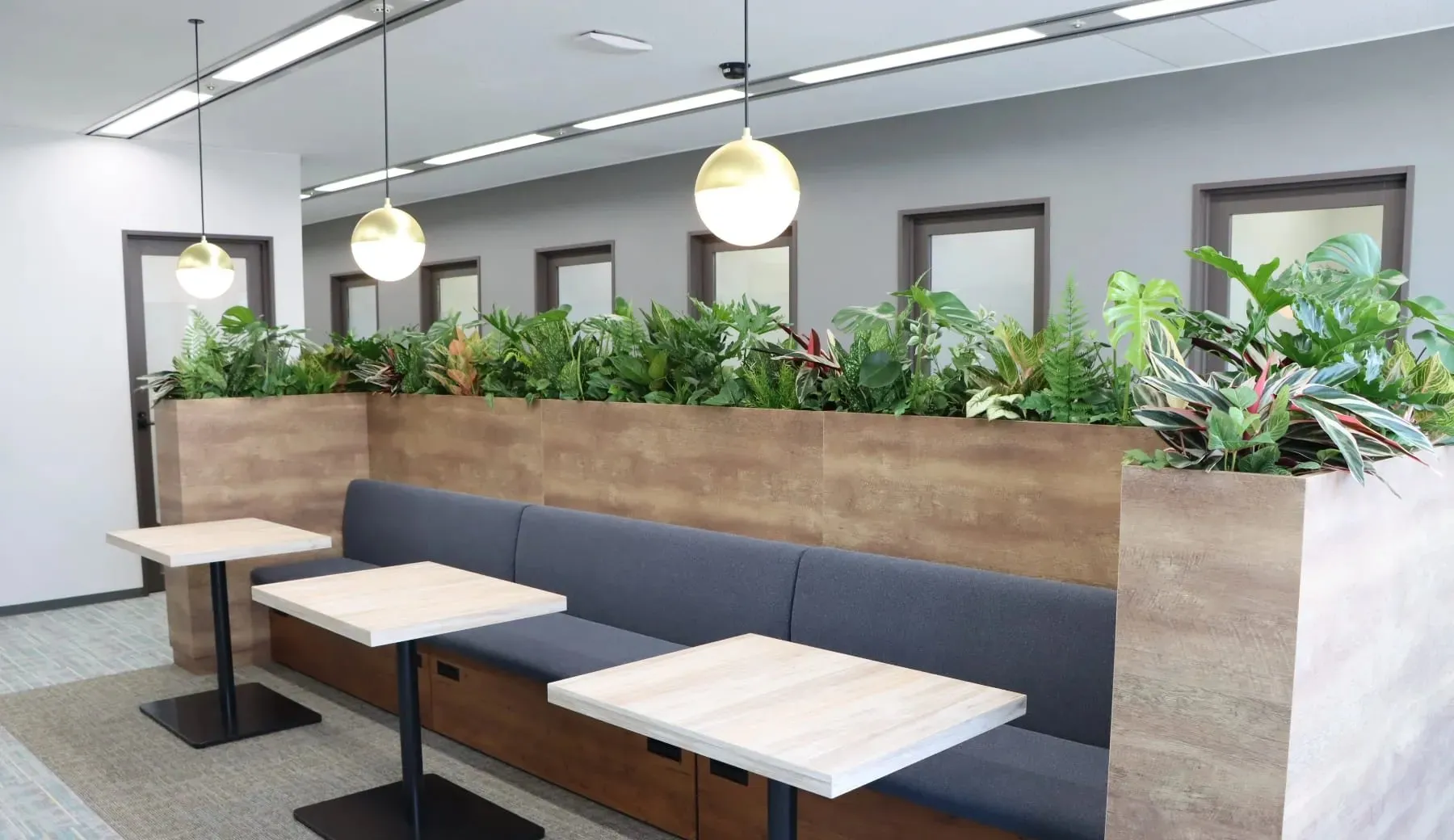 Lieffice 堺 写真