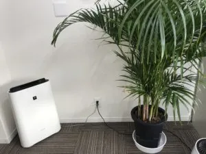 会員制自習室 ＋workspace 綱島東口店 写真