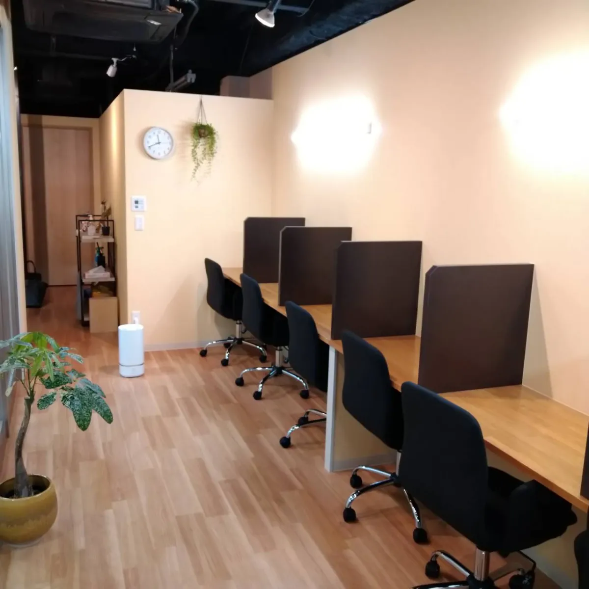 The Study Konan 写真