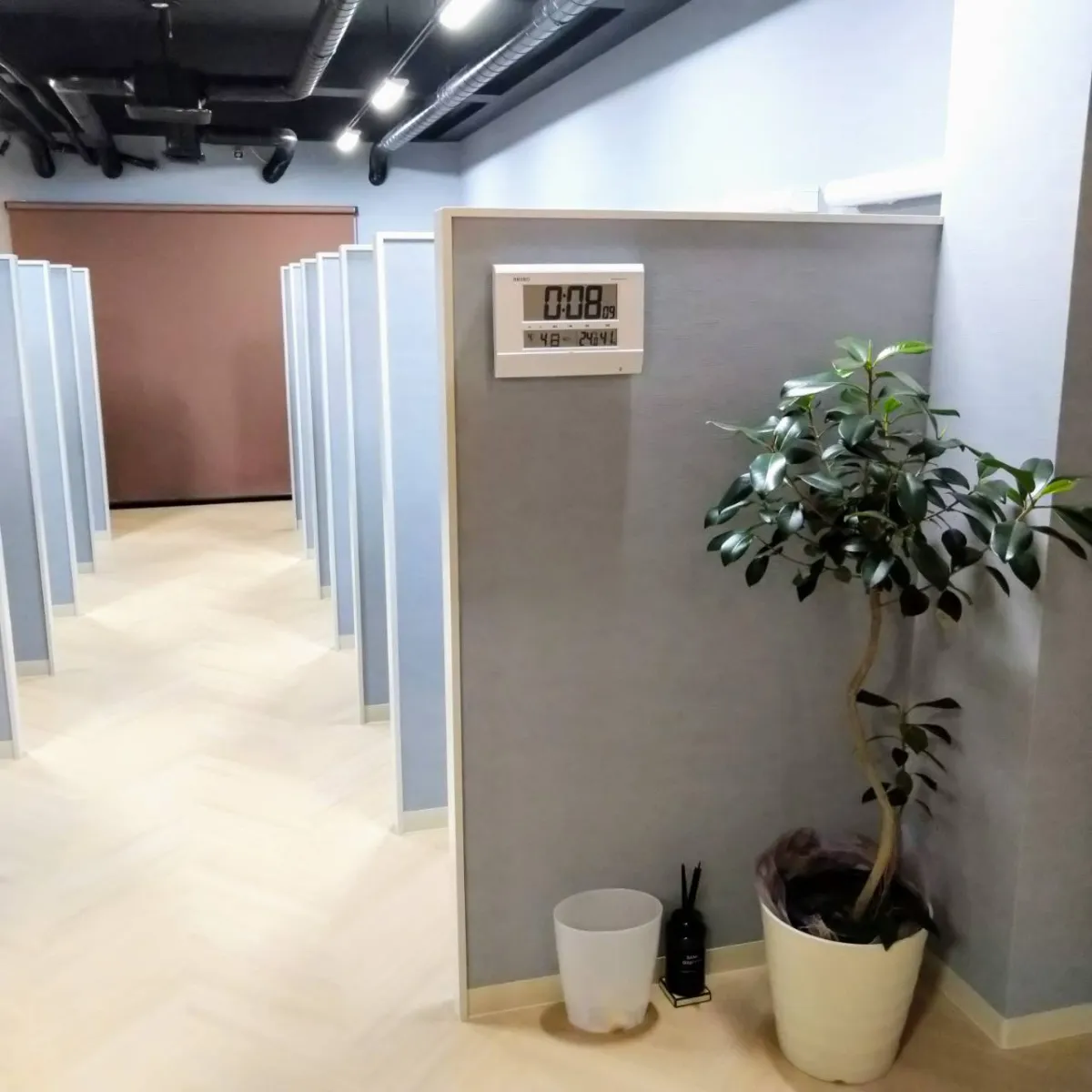 The Study Konan 写真